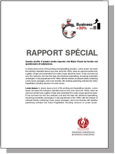 Rapport-spécial